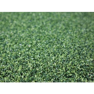 Artificial Putting Green for Garden