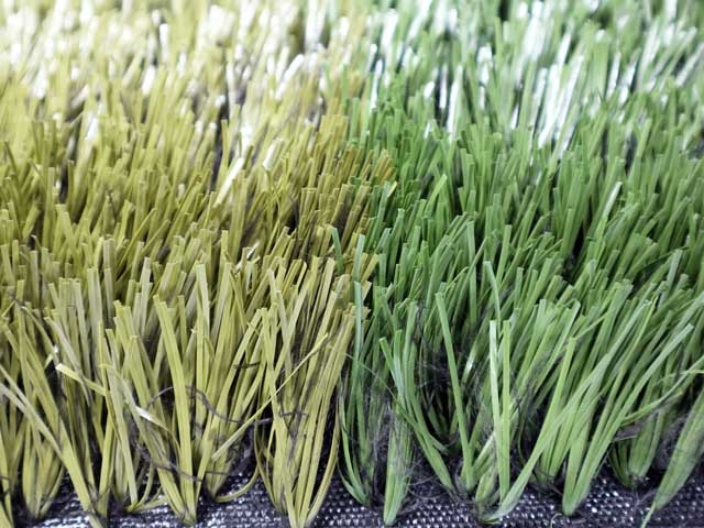 type of grass used on football fields