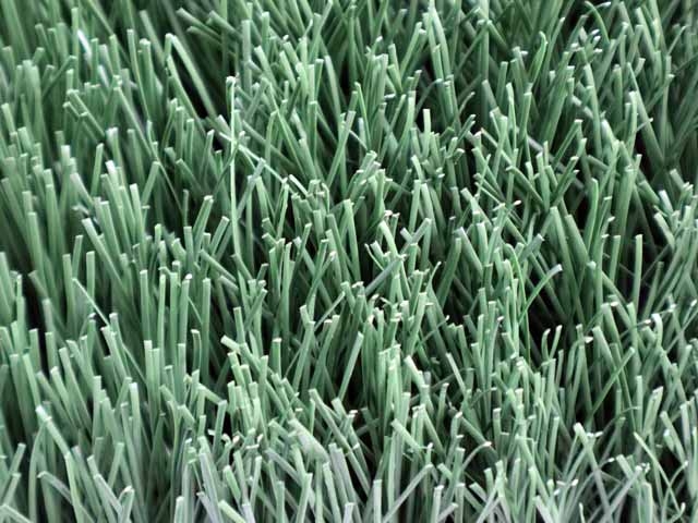 football field turf carpet